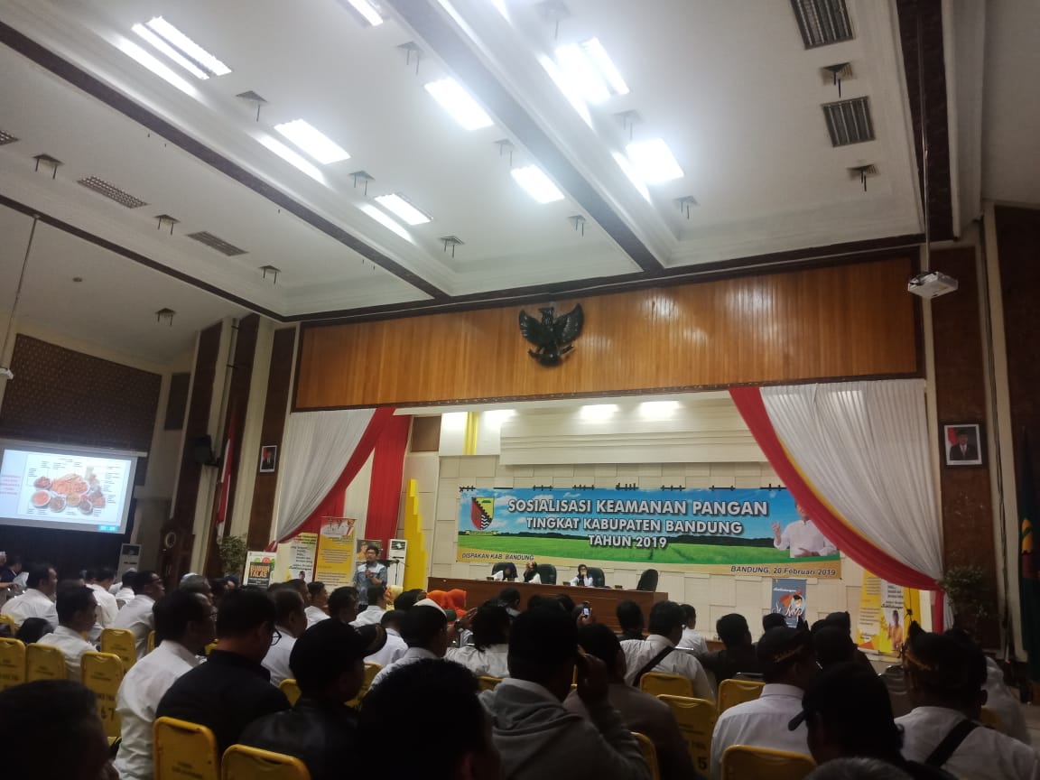 Sosialisasi Keamanan Pangan Tingkat Kabupaten Bandung Tahun 2019